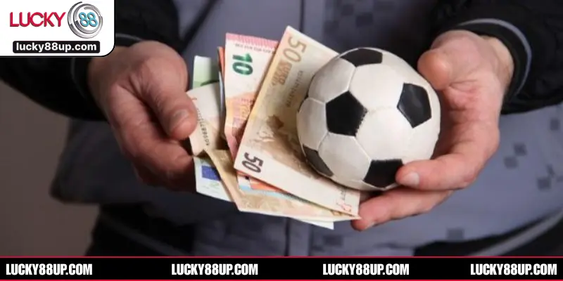 Các dạng cá độ đa dạng khác