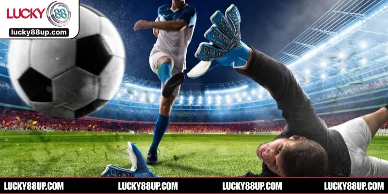 Chọn kiểu đặt cược phù hợp từng trận cụ thể