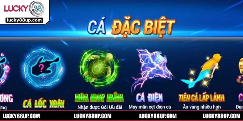 Hệ sinh thái sinh vật biển phong phú tạo nên cuộc săn cá kịch tính