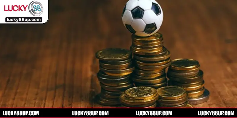 Hướng dẫn bet thủ cách soi tỷ lệ kèo bóng chuẩn xác