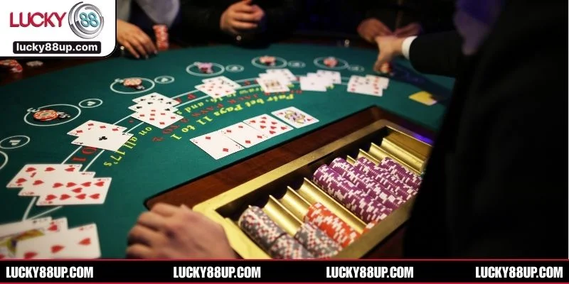 Không gian cá cược chân thực, dealer chuyên nghiệp và trải nghiệm sảnh đẳng cấp