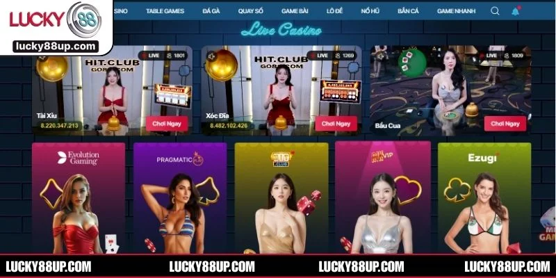 Luật chơi cơ bản và cách vận hành dễ hiểu cho người mới