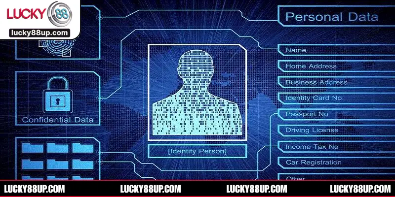 Thực hiện quyền và nghĩa vụ của người chơi