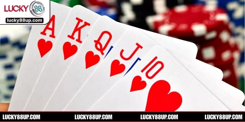 Tiến Lên Đếm Lá thu hút lượng lớn hội viên tham gia tại LUCKY88